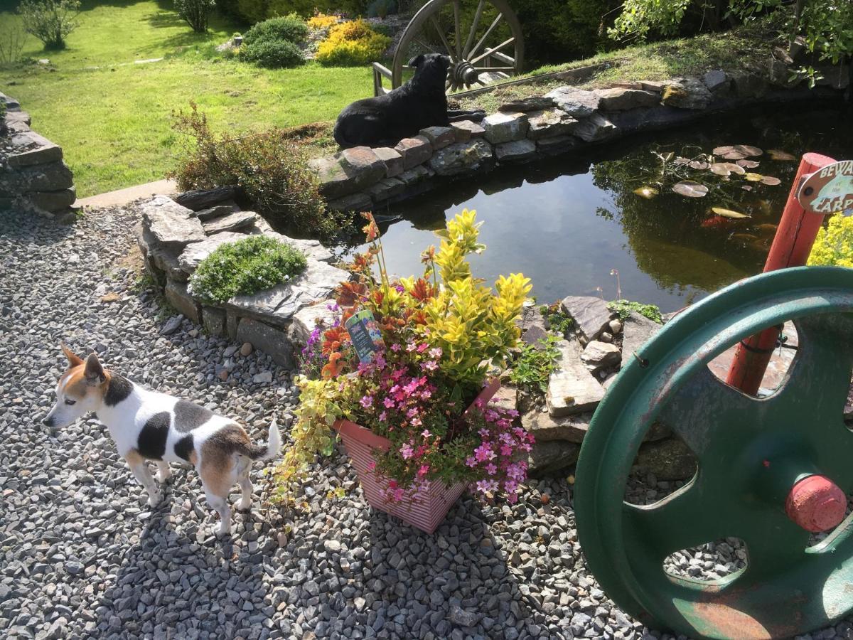 Stoke House Bed And Breakfast Stoke Rivers Eksteriør billede