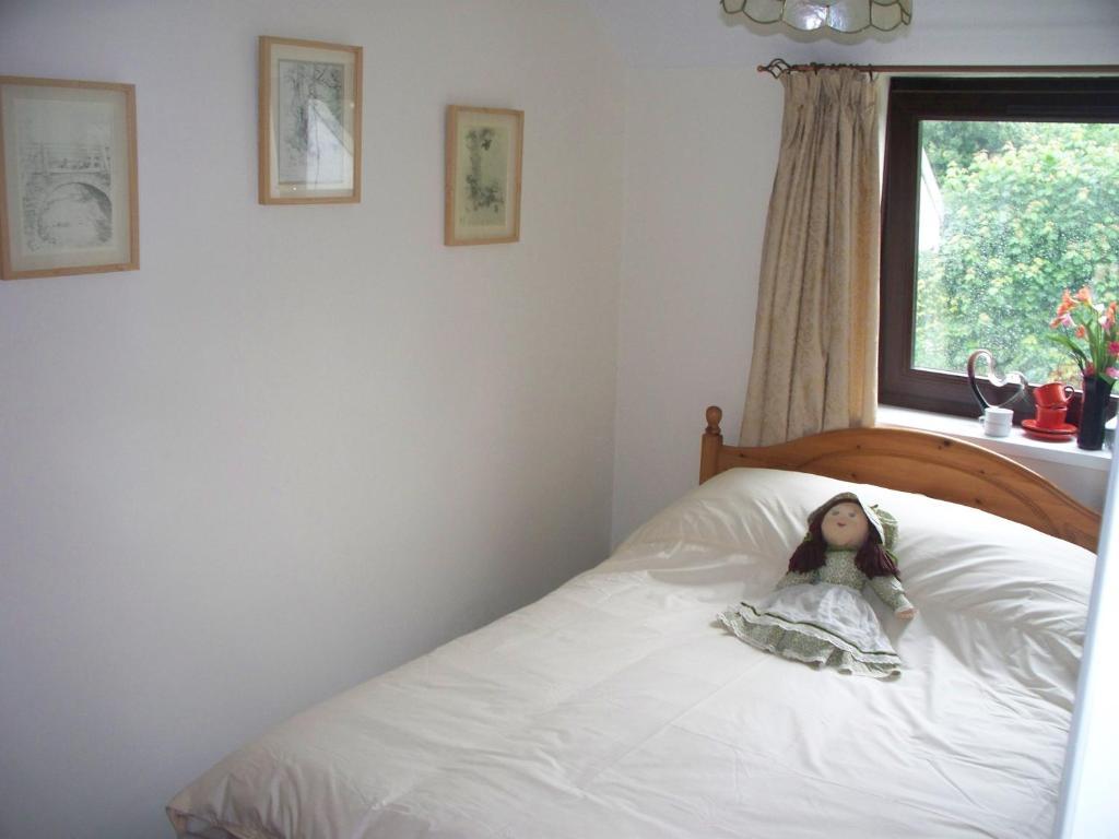 Stoke House Bed And Breakfast Stoke Rivers Værelse billede